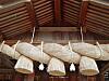 10月こそ神社参拝！運気を切り替える最も大事な神社
