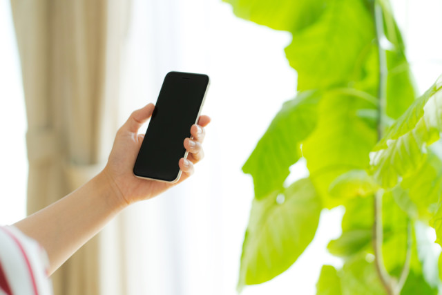 観葉植物と携帯電話を操作する手元写真