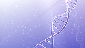 【生物】今日から使える知識！人間のDNAは何本ありますか？