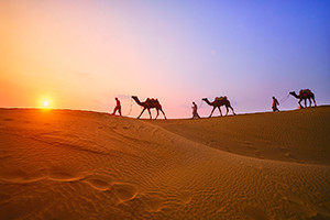 【地理】簡単！世界で最も広い砂漠、サハラ砂漠が位置する大陸は？