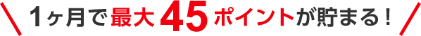 1ヶ月で最大45ポイントが貯まる!